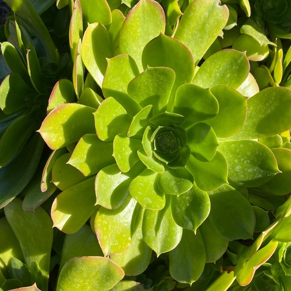 Meet your Posher, Christina - Picture 1 of 1